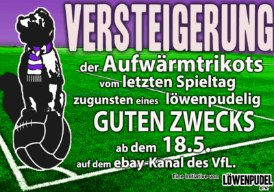 Das Löwenpudel-Aufwärmtrikot