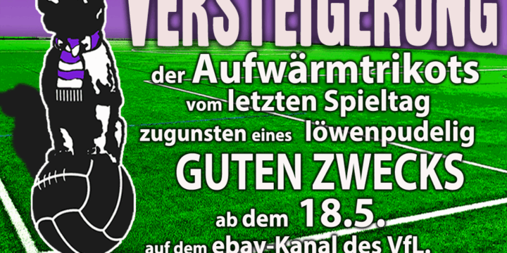 Das Löwenpudel-Aufwärmtrikot